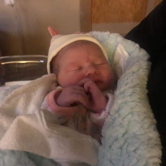 Meet your Posher, Wanda - Picture 1 of 1